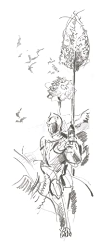 Faber-Castell 9000 Jumbo Graphite Pencil Set - 2 Graphite Sketch Pencils (2B, 4B), Double Hole Pencil Sharpener, Dust Free Art Eraser - Graphite Faber-Castell