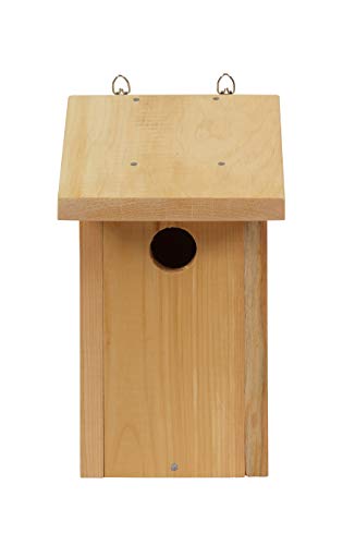 Hearthside Classics - DIY Build-Your-Own Bluebird House Kit - All Parts Included Natural Diamond