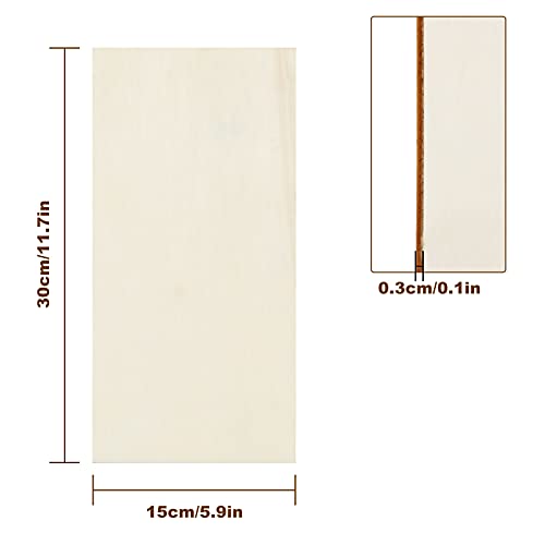 Rectangle Unfinished Wood Pieces 6 x 12 Inch, 25 Pcs Blank Basswood Sheets 1/8 Inch Thin Wood Board for Crafts, Model Making, Wood Burning