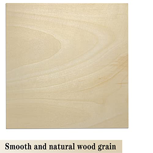 GDGDSY Basswood Sheets 12 x 12 Inch Unfinished Balsa Wood Sheets for Laser Cutting, Drawing Painting, Wood Engraving, etc.(10 PCS) GDGDSY