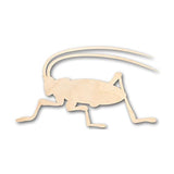 Unfinished Wood Cricket Shape - Insect - Wildlife - Craft - up to 24" DIY 6" / 1/4" 24 Hour Crafts