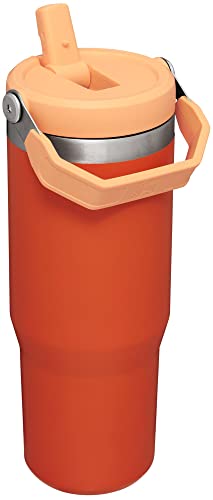 Stanley IceFlow Stainless Steel Tumbler with Straw - Vacuum Insulated Water Bottle for Home, Office or Car Reusable Cup with Straw Leak Resistant STANLEY