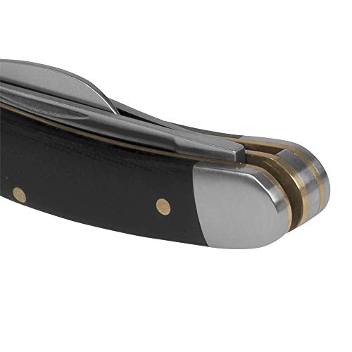 Kershaw Brandywine Folding Pocket Knife, Three Blades with Manual Open, Slipjoint Lock (4382), Steel Kershaw