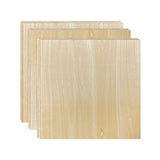 9 Pack Unfinished Basswood Sheet 1/16 x12 x12 Inch Thin Square Wood Board Sheet for Crafts Kricut Model Making Cregugua