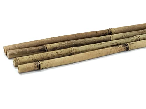 FOREVER BAMBOO BAMA-BP11 Bamboo Garden Stakes Plant Support, 3/8" D x 4' H, Natural - WoodArtSupply