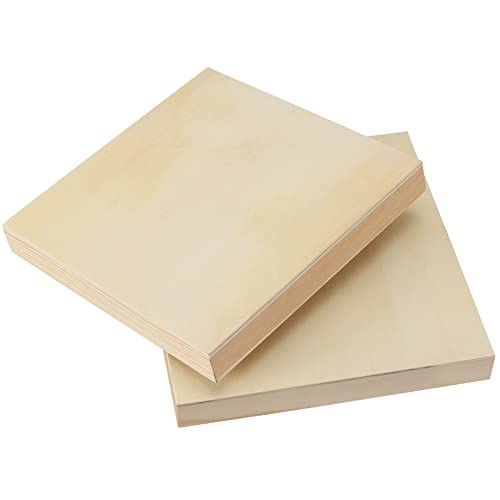 ZOENHOU 10 PCS 8 x 8 Inch Wood Canvas Boards, Unfinished Square Wood Canvas, Cradled Wood Panels for Painting, Pouring Art, Crafts ZOENHOU