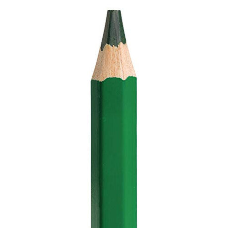 Colorations® Jumbo Colored Pencils, Larger and Hexangonal Shaped for easy gripping, Set of 120 Pencils, 12 Colors, Kids Coloring Pencils, Sustainably Colorations