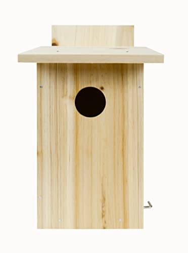Nature's Way Bird Products DIY First Viewing Window Garden-Bird-House, Wood Nature's Way