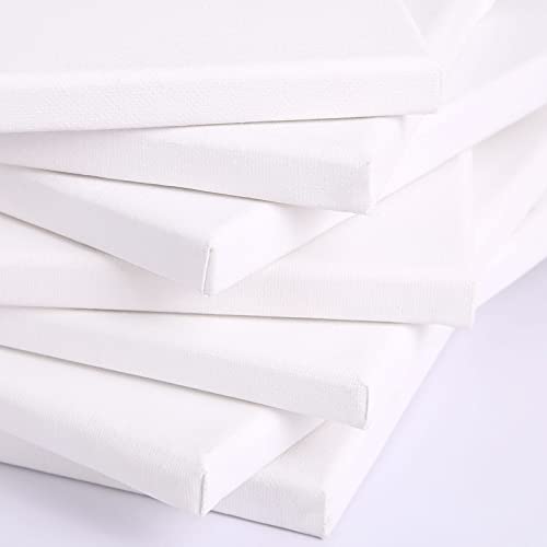 Skyouths Canvases for Painting, 40x30,30x20, 20x15, 8 Set Stretched White Canvas with Petal Paint Tray Palettes & Tape, Artist Canvases Frame Board Skyouths