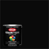 Krylon K05613007 COLORmaxx Acrylic Latex Brush On Paint for Indoor/Outdoor Use, ½ Pint, Satin Black Krylon