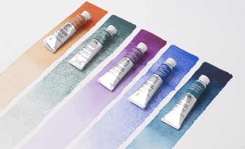 Windsor & Newton Artists Water 5ML Tube 12C Set (Japan Import) Winsor & Newton