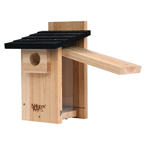 Nature's Way Bird Products CWH4 Cedar Bluebird Viewing House NATURES WAY BIRD PRODUCTS