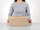 Toyo ST-350MG Steel 2-Tier Tool Box (Military Green) TOYO