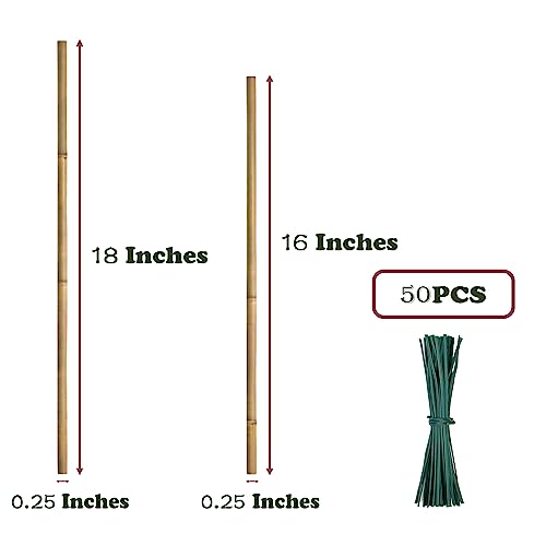 POLIUMB 50PCS Plant Stakes,16 Inch Natural Bamboo Stakes，Garden Stakes for Indoor and Outdoor Plants，Poles Sticks for Tomatoes,Beans,Flowers,Trees POLIUMB