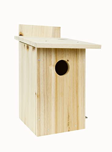 Nature's Way Bird Products DIY First Viewing Window Garden-Bird-House, Wood Nature's Way