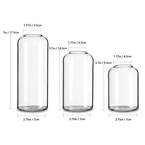 Glass Bud Vases for Flowers - Hewory Blown Modern Small Glass Vases for Centerpieces Set of 6, Mini Clear Bulk Flower Vases for Wedding Party Events Hewory