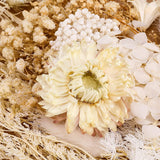 Real Dried Flowers, Natural Dried Flowers Mixed, Hydrangeas, Daisies, Natural Pressed Flowers White Decorative Dried Flowers for DIY Candle Resin WoodArtSupply