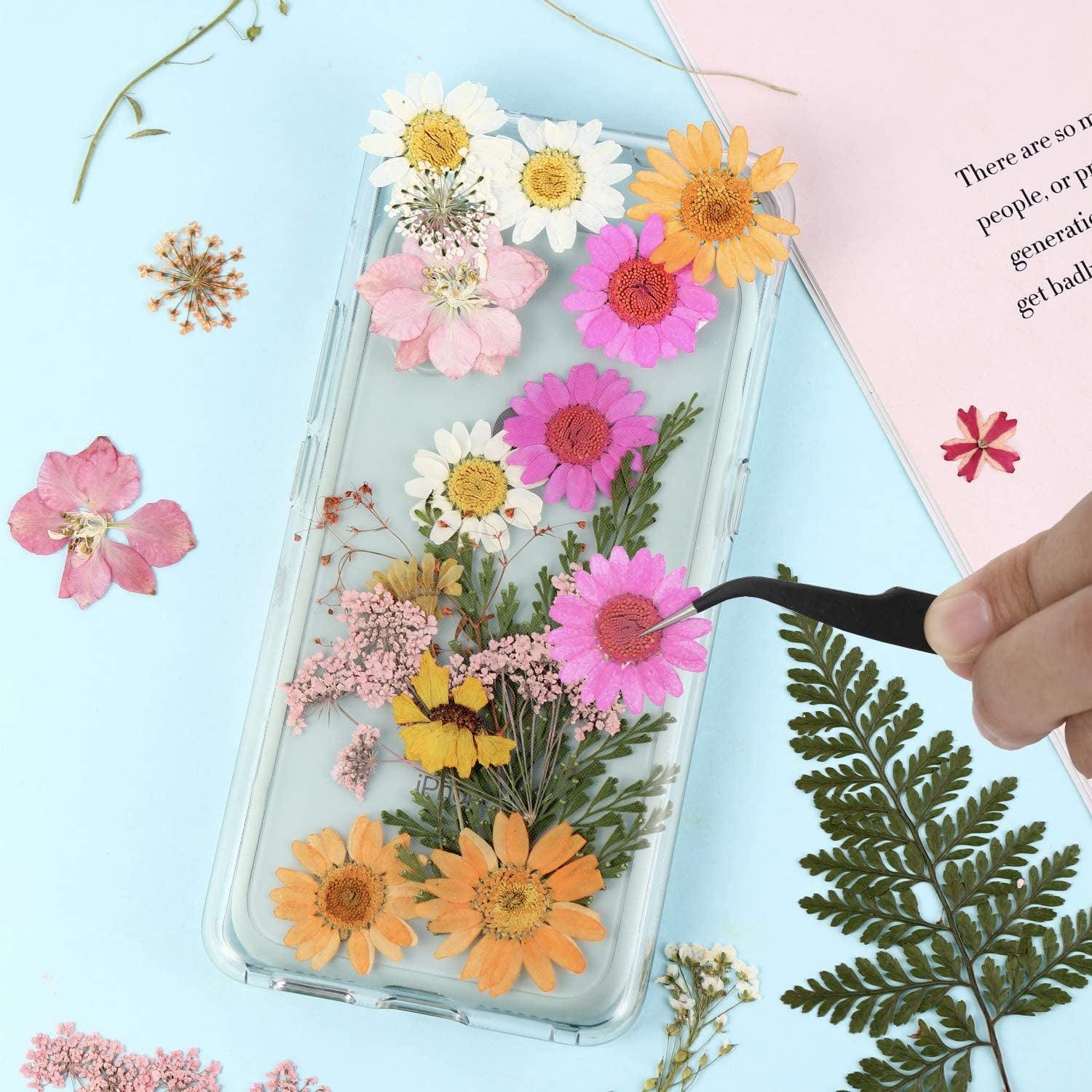 Daisy Earrings | Pressed Flower in Resin | Whole Flower Earrings