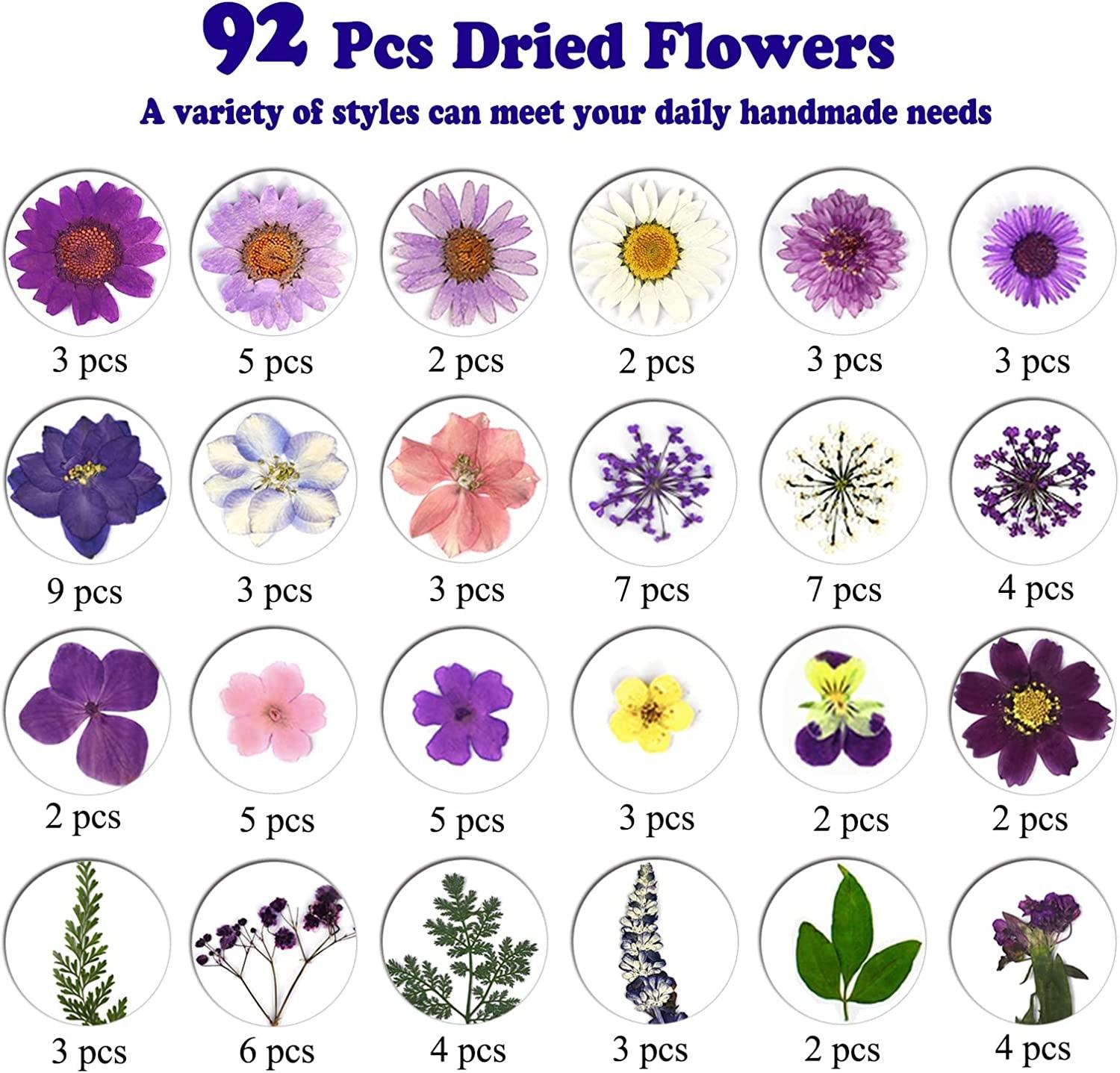 92 Pcs Purple Dried Pressed Flowers Real Natural Leave Petals for DIY Resin Candle Jewelry Nail Crafts WoodArtSupply