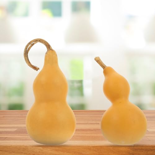 VOSAREA Natural Dried Gourds 2pcs Unfinished Wood Gourd Bottle DIY Painting Wood Peg Doll Dried Gourds for Crafts Arts Chinese Gourd Bottle Feng Shui VOSAREA
