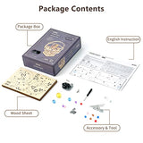 ROKR Classic Edition Orrery Music Box 3D Puzzle Wooden Model Kit for DIY Solar System Craft ROKR