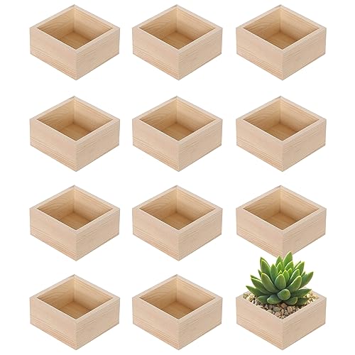 Voittozege 12-Pack Square Wood Box Wood Box Centerpiece for Crafts Unfinished Small Wooden Boxes 3.5 Inch Storage Organizer Craft Rustic Box for DIY Voittozege