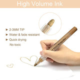 YOOHO Skin Tone Acrylic Paint Pens, Paint Markers for Wood,Glass,Fabric,Rocks Painting Paint Pens (2mm skin tone) YOOHO