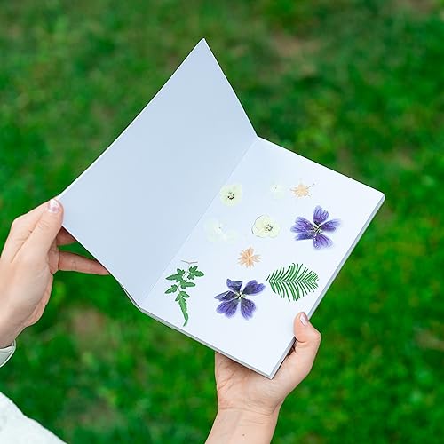 Hygge & Sage Extra Large Wooden Flower Press Artistry Kit with Nature Journal | 6-Layer, 8 x 11 Inch Flower Pressing Kit for Adults with Extra Hygge & Sage