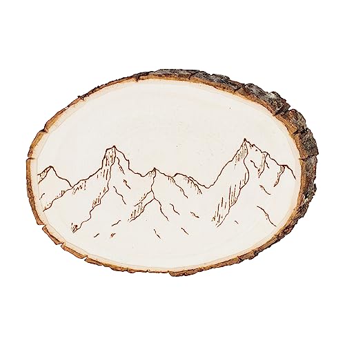 Walnut Hollow Basswood Round, Small 5-7" wide with Live Edge Wood (Pack of 1) - For Wood Burning, Home Décor, and Rustic Weddings Walnut Hollow