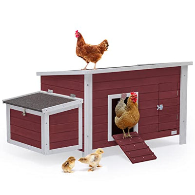Petsfit Large Chicken Coop with Upgraded Perches, Wooden Outdoor Chicken Cage with Large Nesting Box, Weatherproof Open Asphalt Roof, and Removable