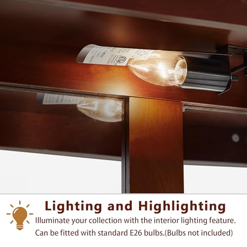 Dolonm Curio Cabinet with Tempered Glass Doors, Curio Cabinets with Mirrored Back Panel and Adjustable Shelves, Lighted Display Cabinet for Home, Dolonm