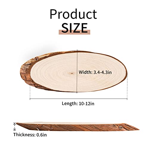 FEZZIA Natural Wood Slices, 3PCS Unfinished Oval Shaped Wood kit Predrilled with Bark for Christmas Decorations, DIY Crafts, Wedding Ornaments,