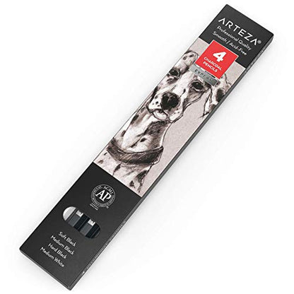 ARTEZA Charcoal Pencil Set, 3 Black Pencils – Soft, Medium, and Hard, and 1 White Pencil – Medium, Art Supplies for Drawing, Sketching & Shading - WoodArtSupply