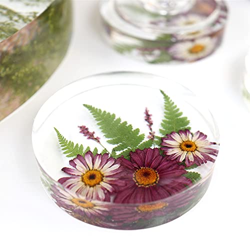 RESINWORLD Deep Coaster Molds, Round Coaster Resin Molds, Small Coaster Silicone Molds for Resin Casting, for Flower Bouquet Preservation ResinWorld