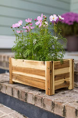 Avera Products | Raised Garden Bed | Rectangle Wood Planter Box | The Perfect Wooden Flower Box | 19" x 9.5" x 8.5" | Great Small Vegetable or Herb Avera Products