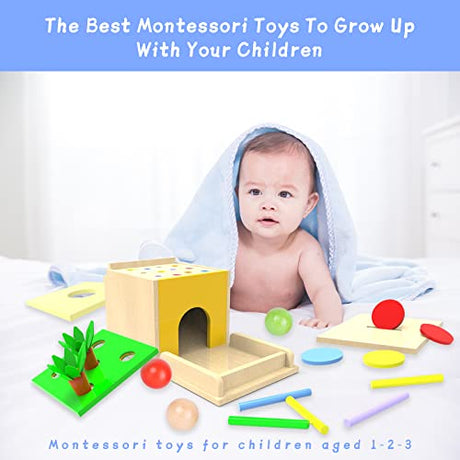 Adena Montessori 5 in 1 Object Permanence Box Toddler Play Kit Toys for 1 Year Old Babies 6-12 Months 2 Year Old Adena Montessori