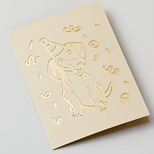 Cricut Cutaway Cards R10, Intricately Design Birthday Cards, Thank You Cards, Custom Greeting Cards, Holographic Backer, Compatible with Cricut Cricut