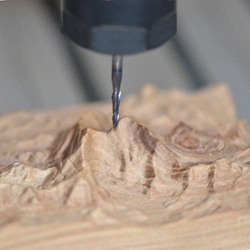 SpeTool 4Pcs/Pack Assorted R0.25~1.0 Tip 1/8" Tapered End Mill Cone Ball Nose Carbide Bit CNC Cutter for Carving Engraving SpeTool