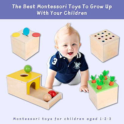 Montessori Box Toys Toddler Play Kit Coin Box, Carrot Harvest Game and Matchstick Color Drop Game (4-for-1) - WoodArtSupply