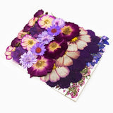 OECCO Large Purple Dried Pressed Flower for Resin, Big Real Nature Pressing Floral Leaves for DIY Craft, Mold, Jewelry Making, Candle Scrapbooking OECOO