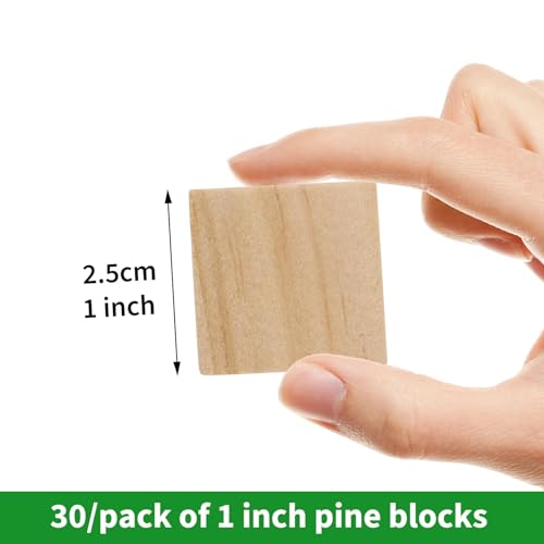 1inch Unfinished Wood Blocks 30Pieces Wooden Cubes for Wood Crafts Blank Natural Wood Cubes Solid Wooden Square Blocks for Baby Shower, Kids DIY - WoodArtSupply