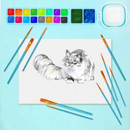 Mazzae Silicone Painting Mat - 20"X16" Silicone Art Mat with 1 Water Cup for Kids - Silcone Craft Mat has12 Color Dividers - 2 Paint Dividers (Blue) - WoodArtSupply