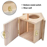 Wren Bird House, Pack of 2 Hanging Birdhouse for Outside, Wooden Nests Box Garden Patio DIY Decorative for Swallow Sparrow Hummingbird Finch Throstle Tfwadmx