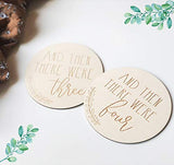 ilauke 14 Inch Wood Circles for Crafts, 4Pcs Blank Wooden Rounds Discs, 1/4 Inch Thick Wood Rounds for Crafts, Door Hangers, Wood Signs, Painting, ilauke