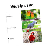 Abaodam 1 Set Bird House Crafts for Kids Ages 4-8 Unfinished Wood Birdhouse Paint Your Birdhouse Easter Crafts for Kids Ages 8-12 Hanging Birdhouse Abaodam