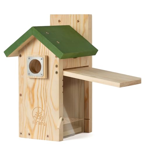 Wooden Bird House for Outside, Bird Box with Viewing Window and Predator Guard, Bluebird Houses for Outside Clearance, Nesting House on a Pole for
