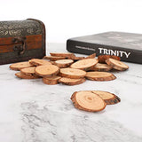 25Pcs Wood Slices Craft Oval Unfinished Wood kit Predrilled with Hole Wooden Circles for Arts Wood Slices Christmas Ornaments DIY Crafts LIZEALUCKY