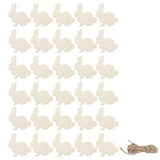 Amosfun 30pcs Wooden Easter Cutouts Rabbit Unfinished Wood Slices Wooden Easter Crafts with Hemp Ropes for Easter Hanging Party Decoration Amosfun