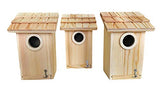 3 Pack Bird House - Bluebird, Finch, Wren, Chickadee, Tree Swallow Bird, Wild Birds, Woodpecker House, Unfinished Wood DIY Project | Oojami