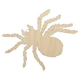 Tarantula Spider Solid Unfinished Wood Shape Piece Cutout for DIY Craft Projects - 1/4 Inch Thick - 6.25 Inch Size Sniggle Sloth